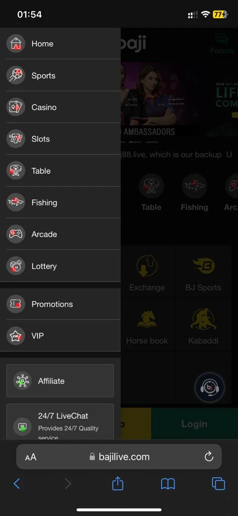 iOS screenshot 2