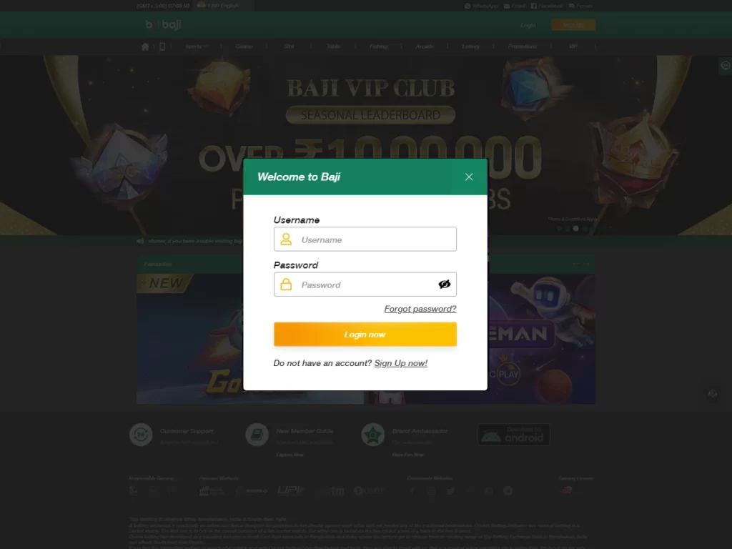 Website screenshot 2